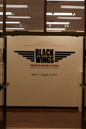 Black Wings Exhibit